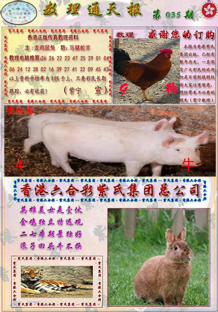 035期数通报[图]