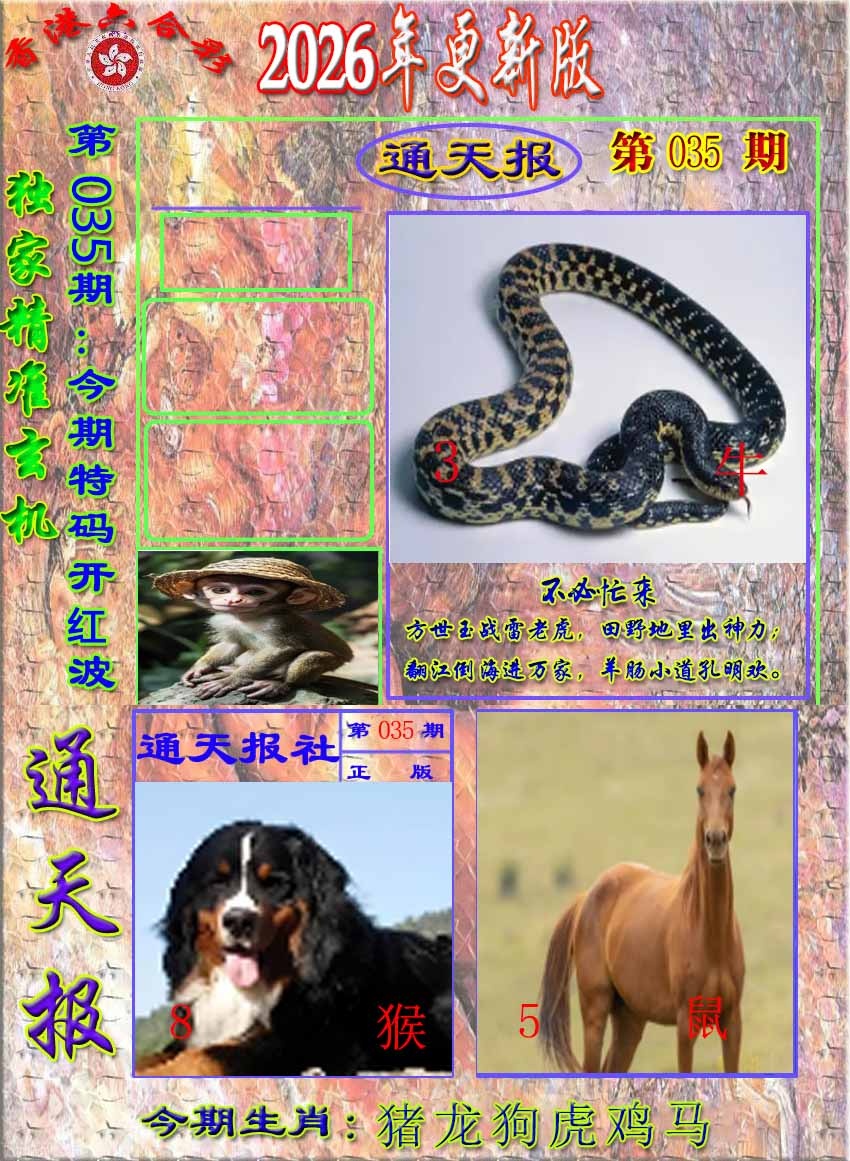 035期新通报[图]