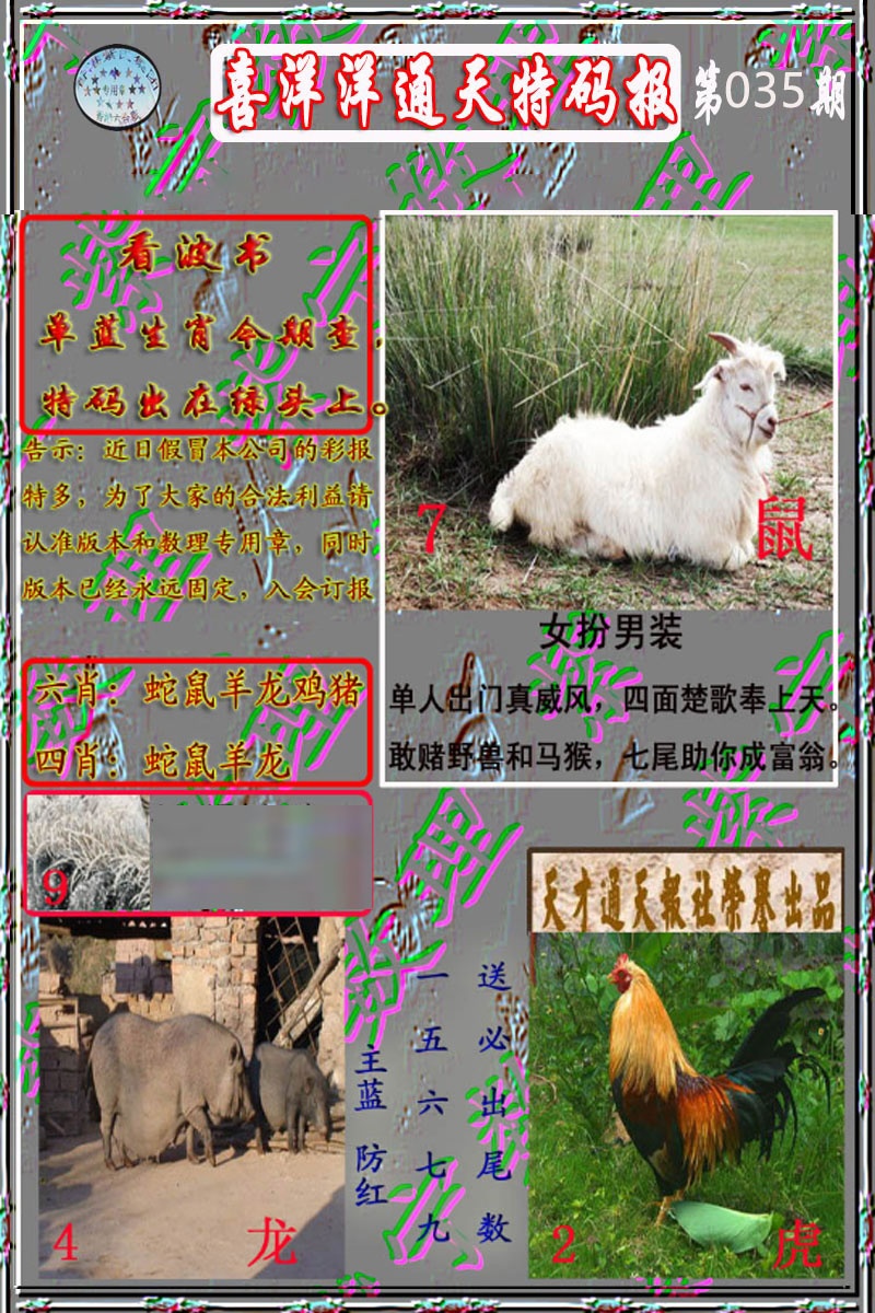 035期洋通报[图]