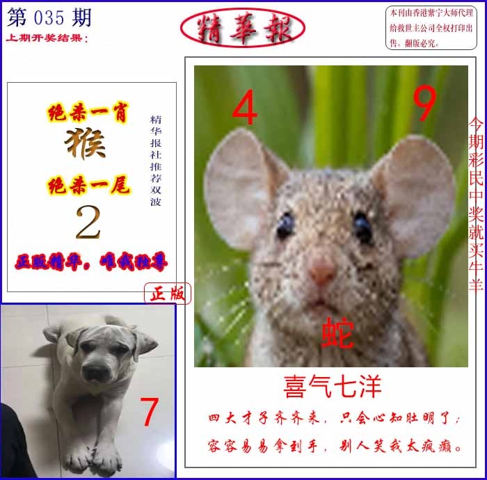 035期新精华报报[图]