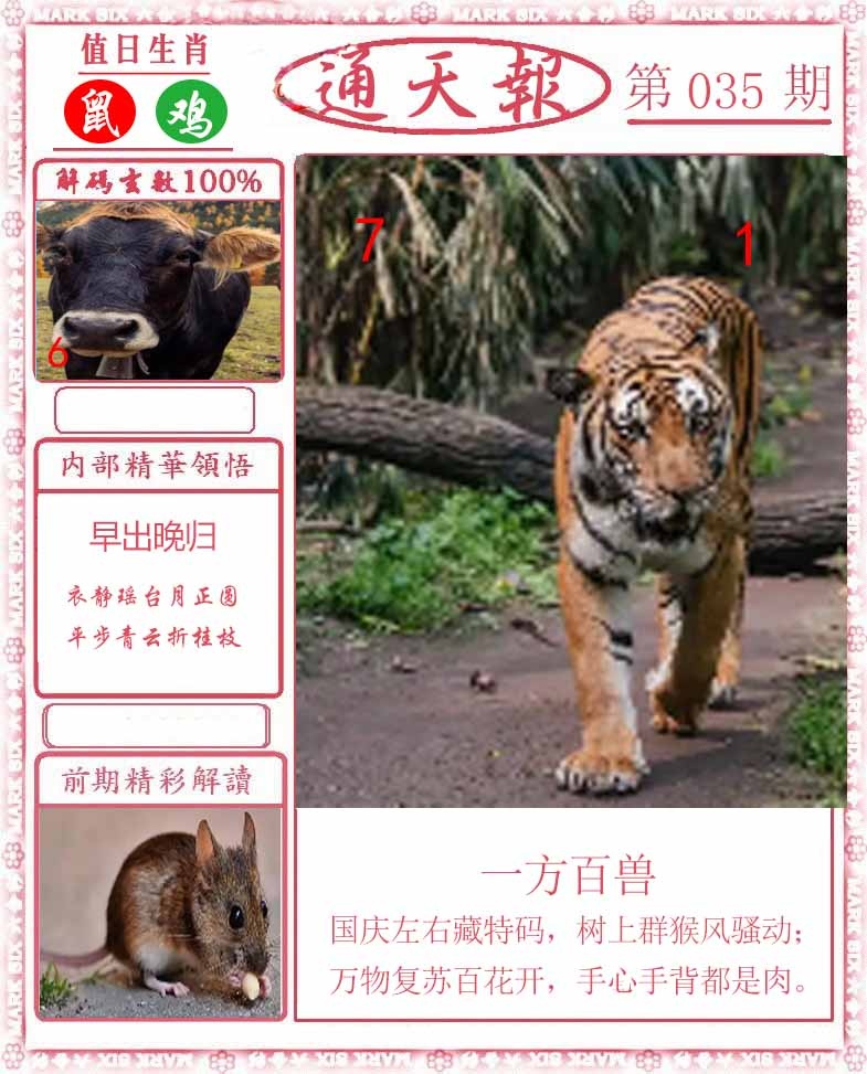 035期正版通天报[图]