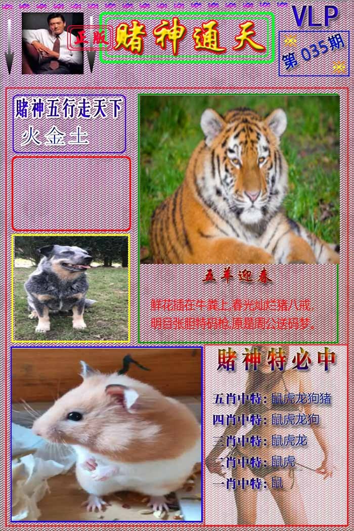 035期赌神通天报[图]