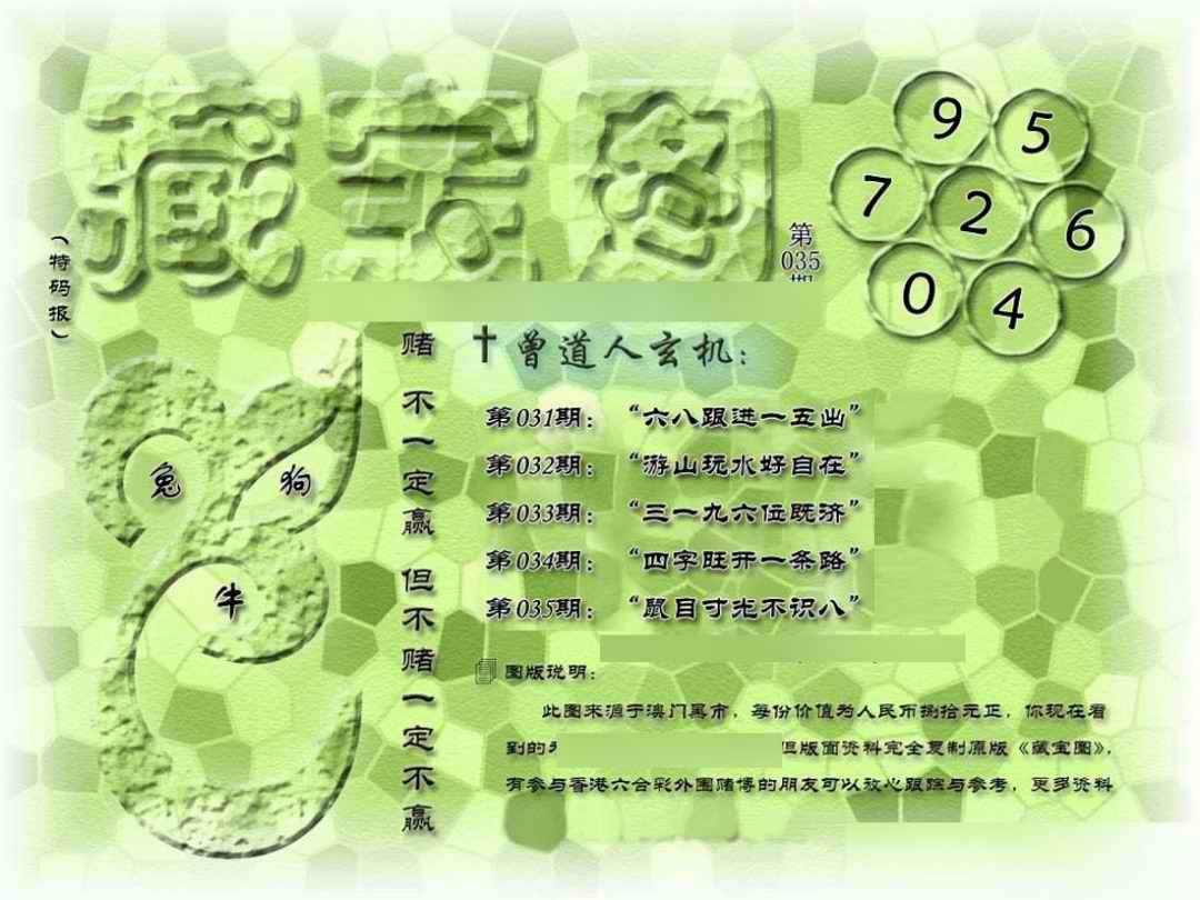 035期假新藏宝图[图]